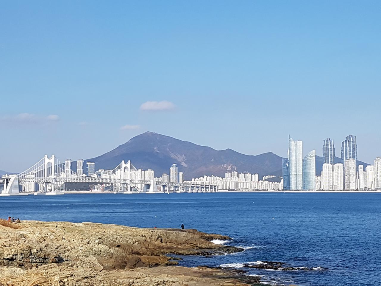 International Polyurethane Forum 2022